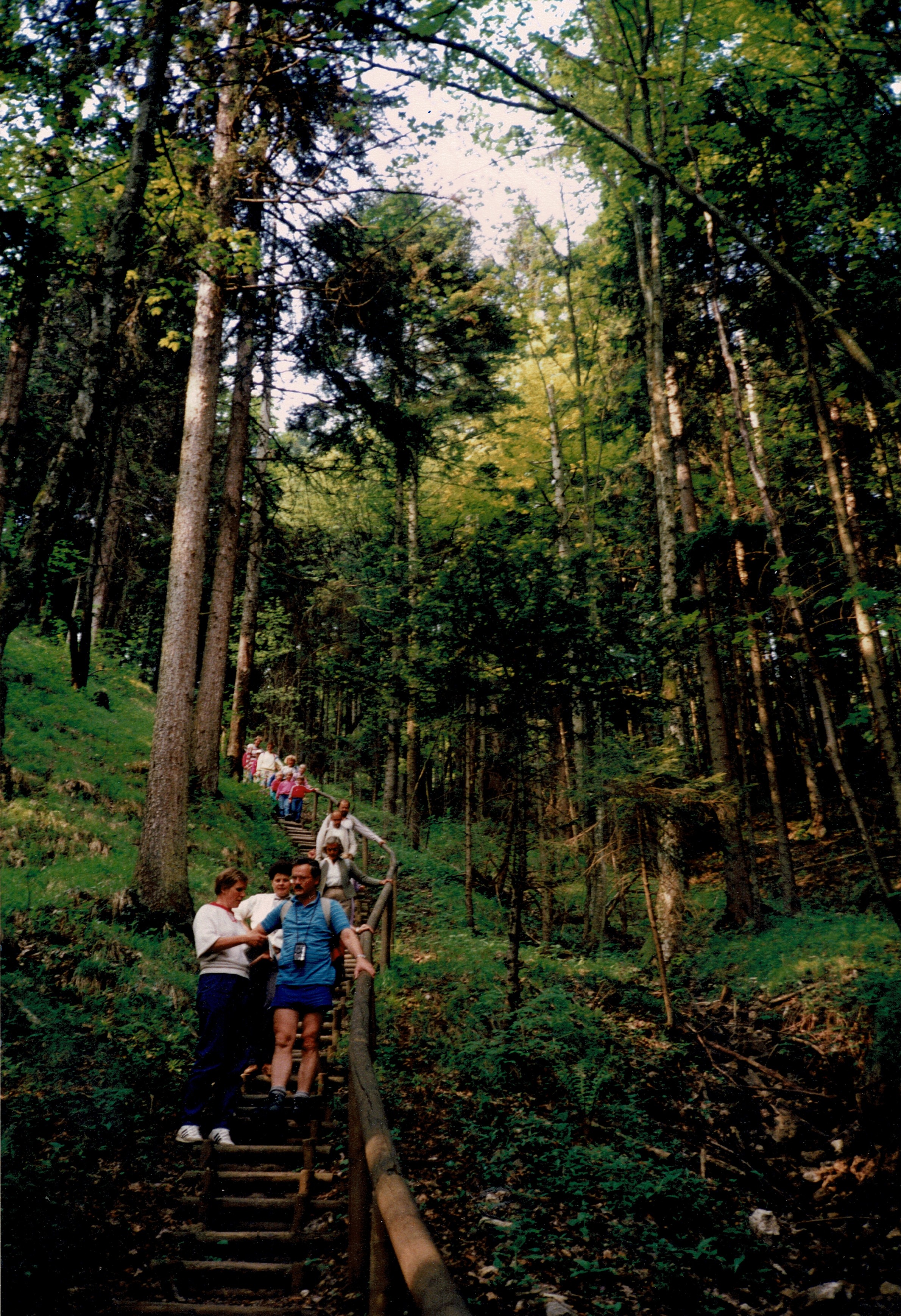 Jägersteig nach Hainbach Image