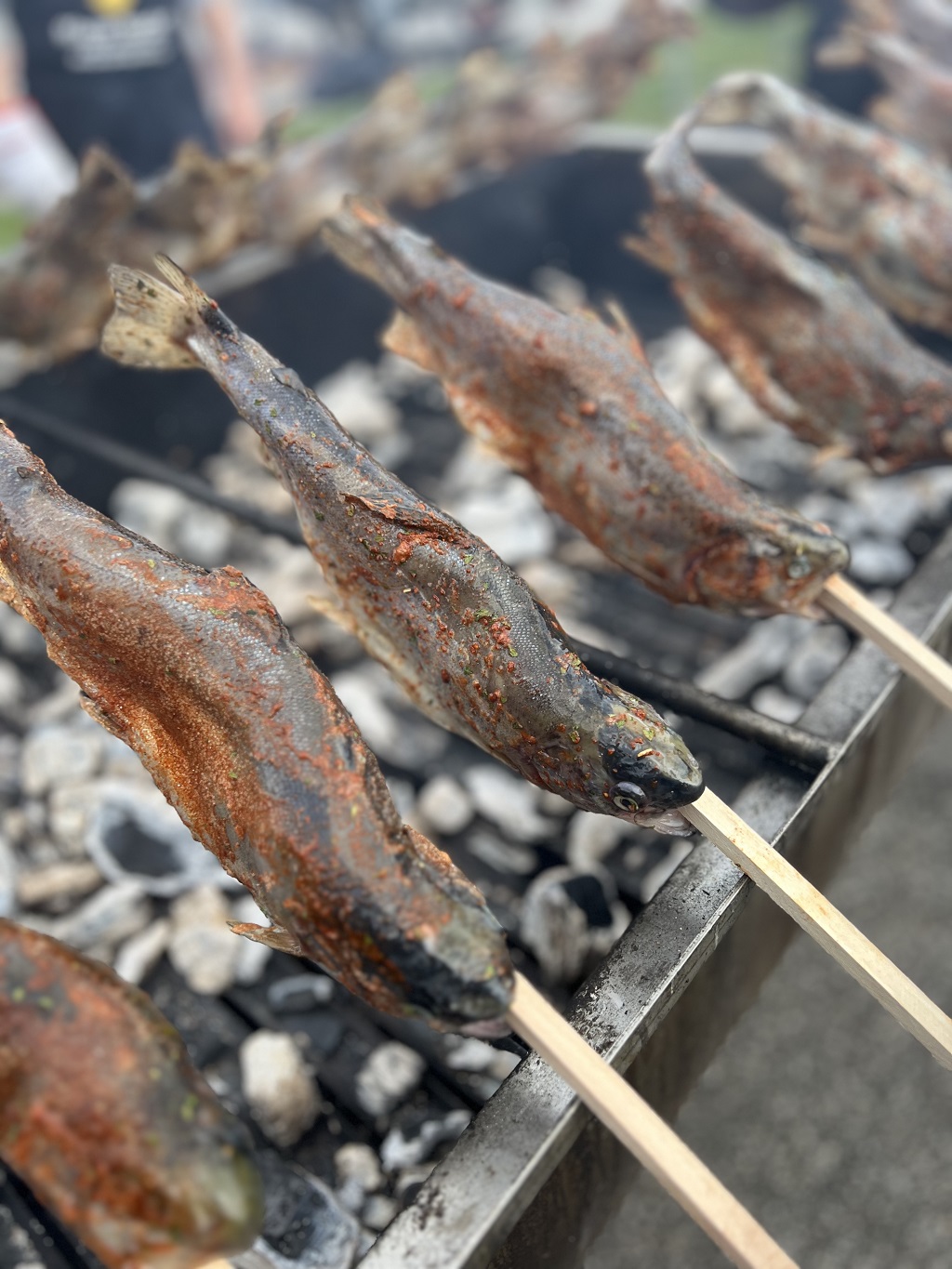 Fischgrillen, Steckerfisch, Grill